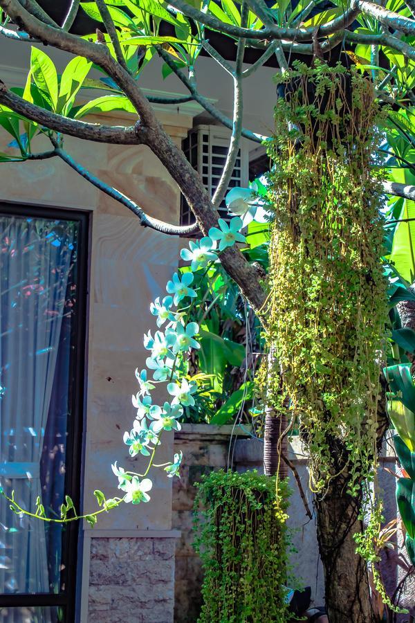 Villa Impian ชังกู ภายนอก รูปภาพ